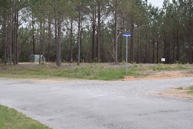 19 Chestnut Dr, Linden, TN 37096 - photo 5