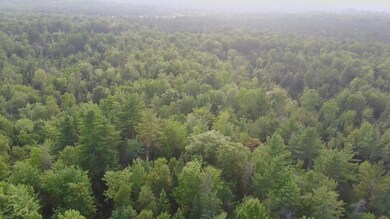 Lot 11-2 N Dexter Rd, Parkman, ME 04443 - photo 7