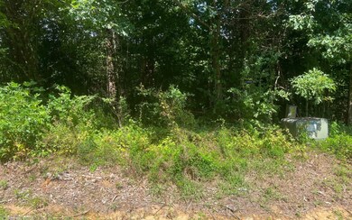 LOT 9 Old Orchard Rd, Ellijay, GA 30536 - photo 5