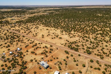 8770SupancheckRd-ShowLow-AZ-10