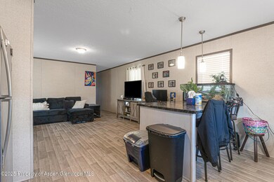 42 Silverton Place, Parachute, CO 81635 - photo 6