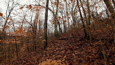 0 Moss Run Rd unit 11610651, Marietta, OH 45750 - photo 5