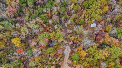 0 Sulpher Springs Rd, Waterloo, SC 29384 - photo 6