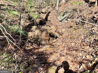 0 Corinth Church Rd unit 10656398, Cleveland, GA 30528 - photo 7