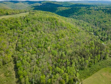 14.79 AC Issacs Pass, Cookeville, TN 38506 - photo 3