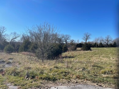 1 Paradise Rd, West Ozark Township, MO 65757 - photo 4