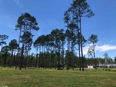 32642 County Road 64 Extension, Robertsdale, AL 36567 - photo 2