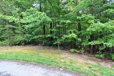 N Shivas Crest Lot 59IMG_0071
