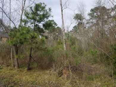 00 Briarcliff St, Conroe, TX 77385 - photo 4