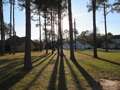 85 Cobblestone Blvd SE, Moultrie, GA 31788 - photo 5