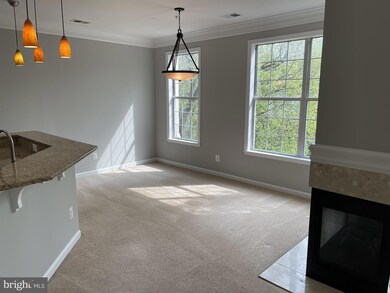 1725 Kingsgate Ct unit 303, Alexandria, VA 22302 - photo 6