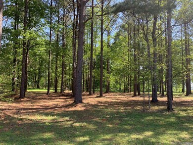 34/34A Riverview Landing Dr, Camden, AL 36726 - photo 3