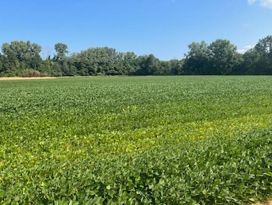 0 Wilson Rd unit B, New Buffalo, MI 49117 - photo 5