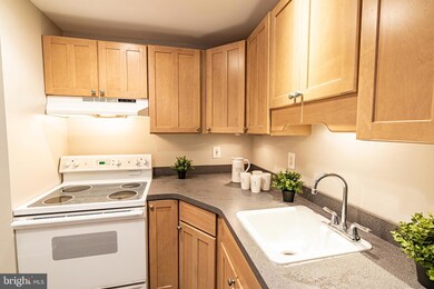 515 S Ann St unit 1, Baltimore, MD 21231 - photo 7