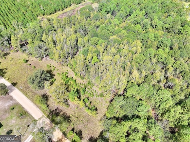 0 Eugene Ward Rd unit 10652768, Adrian, GA 31002 - photo 7