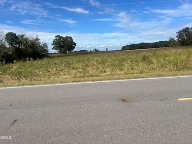 900 Marler Rd, Benson, NC 27504 - photo 3