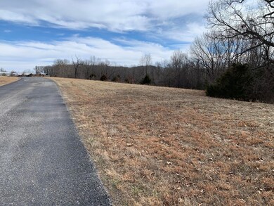 Lot 35a Hidden Springs, Reeds Spring, MO 65737 - photo 7