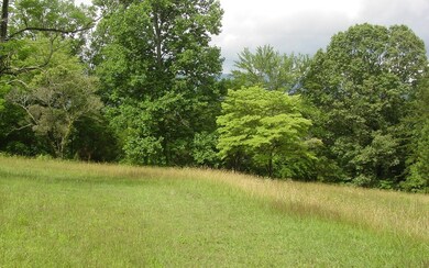 Additional View