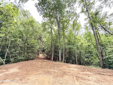 0 Forest Creek Pkwy unit RTC2908571, Oak Ridge, TN 37830 - photo 2