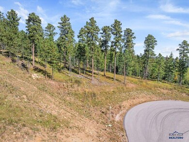 Lot 9 Other unit Meadow Wood Way, Lead, SD 57754 - photo 4