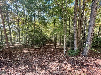 527-533 the Bear Blvd, Tamassee, SC 29686 - photo 5