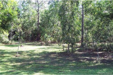 (View of Back Yard)