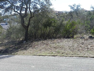 8818 Terra Cliffs, San Antonio, TX 78255 - photo 4