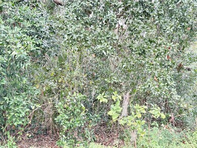 0 Hilda Rd unit MFRTB8334007, Ridge Manor, FL 33523 - photo 3