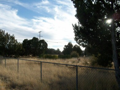 1780 Canyon Pl Show Low 004
