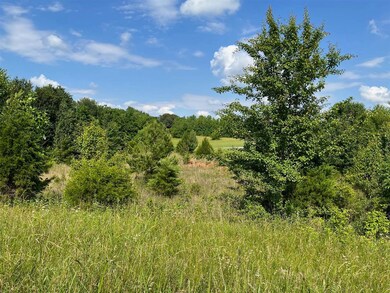 10213 Glasgow Rd, Smiths Grove, KY 42171 - photo 5