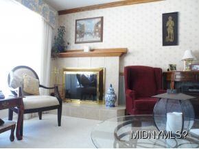 Lving Rm w/wood Fireplace