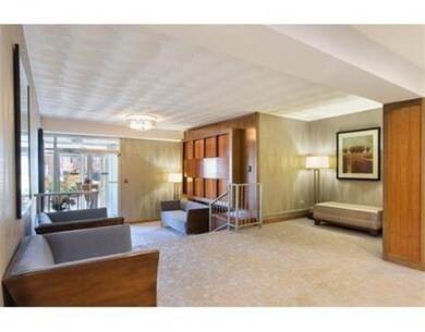 Hammond Park Condominiums unit 302, Chestnut Hill, MA 02467 - photo 3