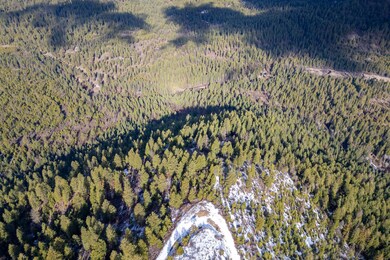 38-Parcels 1-2-Xxx Grouse Creek Rd Loon