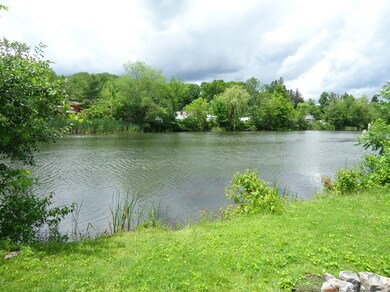 #5 back yard