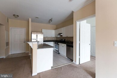 11319 Aristotle Dr unit 3-207, Fairfax, VA 22030 - photo 4