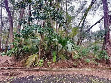 18 Adams St, Apalachicola, FL 32320 - photo 3