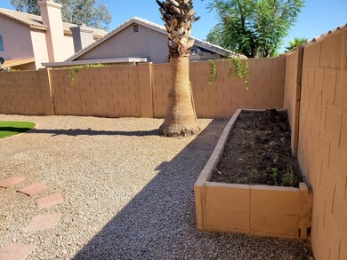 Back yard planter
