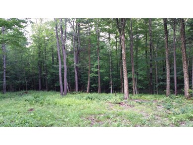 0 Branch Hill Rd unit 4505296, Readsboro, VT 05350 - photo 5