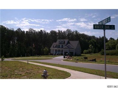 Gorgeous homes in the neighborhood
