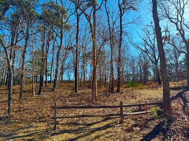 147 Red Buoy Ln unit 2.1, Tisbury, MA 02568 - photo 5