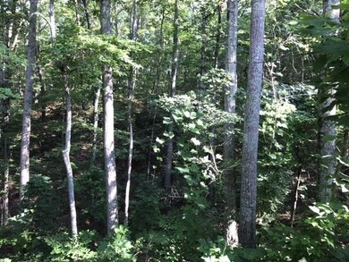 2011 Marshy Swamp Pt.
