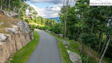 L59 Eagle Cliff Trail, Banner Elk, NC 28604 - photo 3