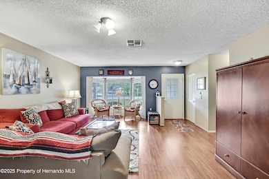 6517 Ocean Pines Ln, Spring Hill, FL 34606 - photo 5