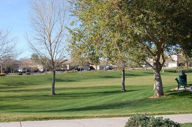 Community Park 2