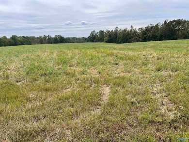 7 Holland Rd, Athens, AL 35614 - photo 2