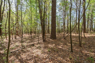 0 Skull Shoals Rd unit 23220093, Washington, GA 30673 - photo 7