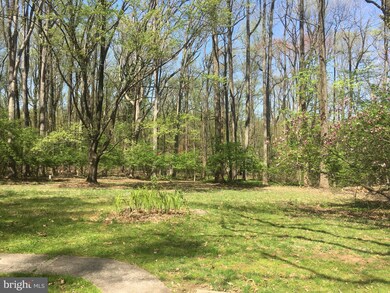 11109 Greenspring Ave, Lutherville Timonium, MD 21093 - photo 7