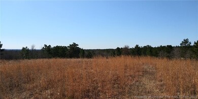 0 Serina Woods Wood unit 651948, Lillington, NC 27332 - photo 6