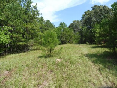 TBD Pinewood Valley, Hockley, TX 77447 - photo 7