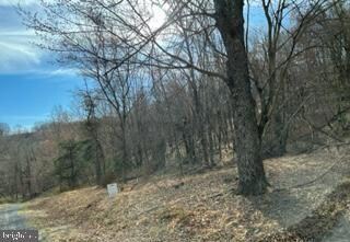 49.76 Acres Ewing Dr, Baker, WV 26801 - photo 7